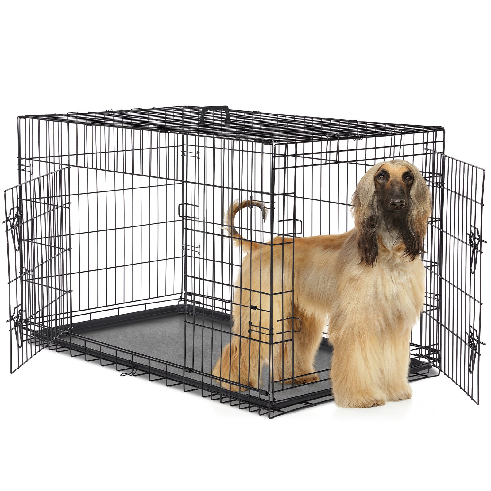A Dog Cage With Two Doors